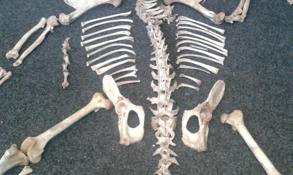 2014-2-28-1435foto 7.jpg